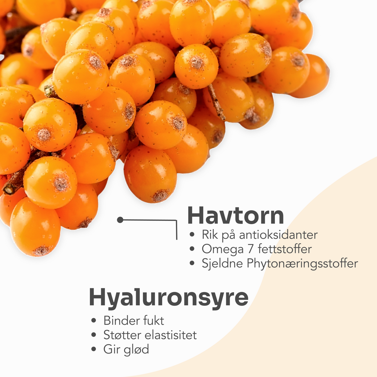 Dr.Stine COLLAGEN with Sea Buckthorn kosttilskudd