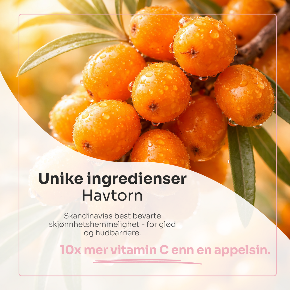 SUPERFOOD multipurpose vitamin face gel XL