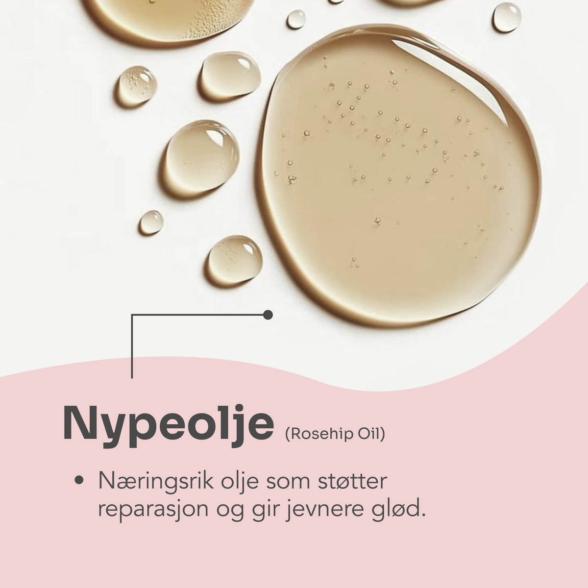 ANTI-AGE night cream rich